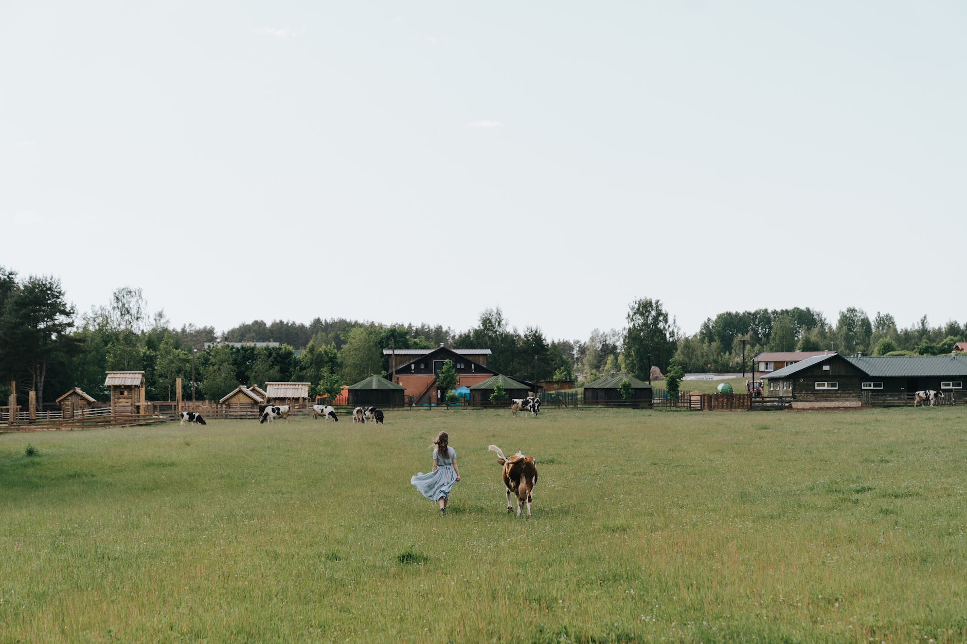 people on green grass field